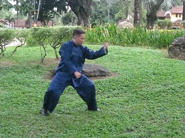 Wu Yu Xiang Style Taijiquan